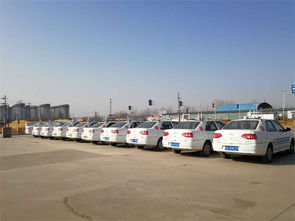 智通駕校 鄭州駕照培訓(xùn)的專業(yè)選擇