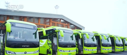 創新迭代、跨界融合與國際合作 中國新能源汽車產業海外投資勢頭強勁